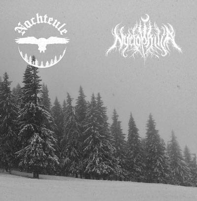 Nyctophilia (PL) : Errance Hivernale - Gdzie Noc Jest Najczarniejsza